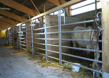 Gia súc Chăn nuôi gia súc cao cấp 360 độ Họ và Chống Rust Painted