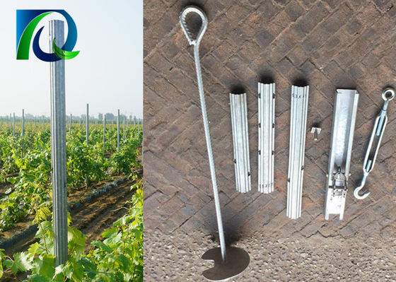 Kẽm tráng 275G 1.5MM Độ dày giàn nho Bài viết