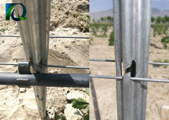 Bài viết lưới chống gỉ 1.6-3.0MM Dây 54x30mm Vineyard Trellis