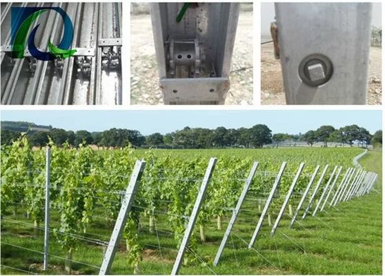 Trụ nho 1,5mm 54X30MM với 2 lỗ H bên