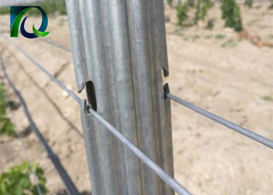Bài viết lưới thép làm bằng kim loại 1,8m cho dây 1,6-3,0MM